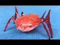 HEXBUG Scarab Robotic Bug Unboxing Review