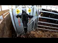 New 4 Rivers Ranch Equipment