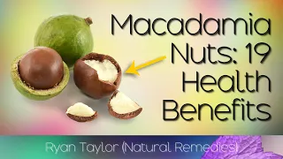Macadamia Nuts Benefits and Uses