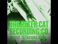 The Peter Cat Recording Co. - Memory Box [ZEREF Schranz Remix]