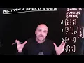 Introduction to Matrices Order Elements Addition and Multiplication by a scalar