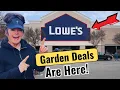 Lowe s Garden Center Deals Shop With Me