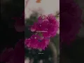 Download Lagu Marudhani remix song whatsapp status ❤️#marudaani #remixsong #love #lyricsspot #trendingshorts