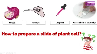 Primary 6 Science Concept 1 Lesson 2 Brief History Of The Cell And Microscope 