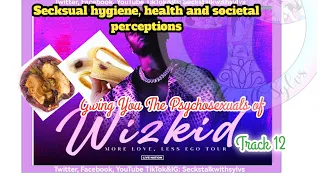 snippet of me giving you thepsychosexuals to wizkid song special track 12