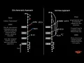 034 Avoid Multiple Cherry-Picks using Git Flow