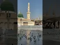 Download Lagu wo mera nabi hai #naat status#islamic status#whatsapp status #madina #beautiful Download Lagu wo mera nabi hai #naat status#islamic status#whatsapp status #madina #beautiful