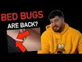 Download Lagu Does Amber have bed bugs again?