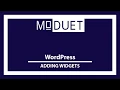 How to Use Widgets for Your WordPress Website