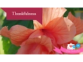 Thankfulness Acrostic 1 By Poetry From the Heart