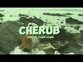 Cherub - Coco Clair