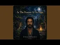 In The Forests Of The Night