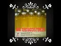 Download Lagu WA 0819-0357-3821, Jual minyak bulus asli di banjarmasin