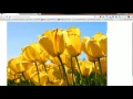 Uploading to multiple destinations Using Flask and Python