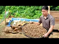 Lagu CEO Thu Hoach, sells star fruit at the market to make a living | Triệu Kha