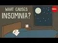 Download Lagu What causes insomnia? - Dan Kwartler