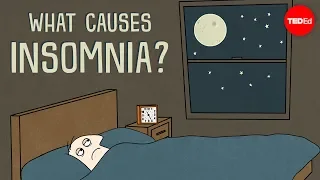 what causes insomnia dan kwartler
