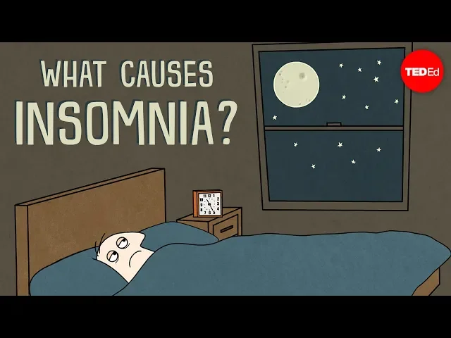 Download MP3 What causes insomnia? - Dan Kwartler