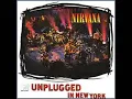Dumb (Unplugged) - Nirvana