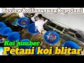 Download Lagu Langsung ke petaninya‼️Review harga koi di petani blitar Karangsono