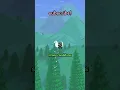 the FASTEST WAY to get a PET