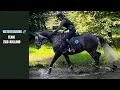 Download Lagu Cerrito durft het water in! 💦  Training met Eventing Team Zuid-Holland