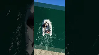 Electric Outboard motor review overview TEMO 450 Lightweight & Portable #shorts