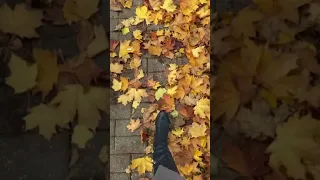 Smell The Autumn Air Bts Kpop Southkorea Squidgame Youtubeshorts Shorts 