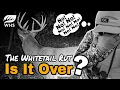 Download Lagu When Will The Whitetail Rut End In Your Area 