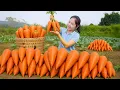 Lagu Harvesting 1000+ Kg Carrot Go to Market Sell, Cooking and Gardening | Farm Life