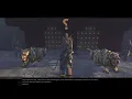 Age of Conan Unchained - How to get Tiger mount companion from Tamarin s Tigers Part 1