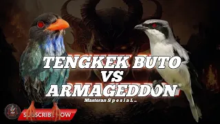 masteran tengkek buto sambung armageddon