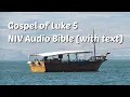 Luke 5 NIV Bible with text