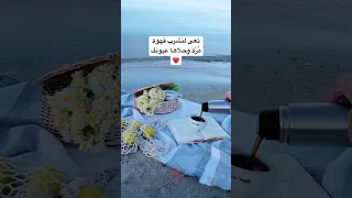 تعى لنشرب قهوة   حالات واتس دندنها