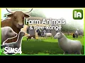 Farm Animals Free-Range by Lot51