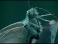 迪克牛仔 - 你知道我在等你嗎 (Official Video)