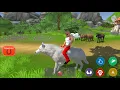 Unity Animal Riding-Invector HAP Integration