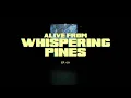 Lord Huron - The World Ender (Alive From Whispering Pines)