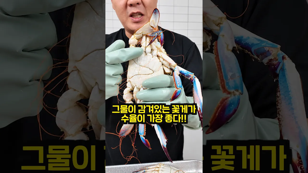 그물이 감긴 꽃게가 좋은이유!?