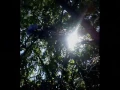 Craig Armstrong - Finding Beauty