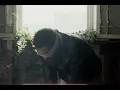 Nick Hakim - I Can See (Official Video)