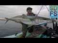 LA JOLLA YELLOWTAIL ATOMIC BLOWUP Solo Skiff Fishing San Diego 1904 Lure Co Stick Bait 2025 SDFS