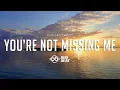 Download Lagu SLOW MUSIC !!!! OURBEAT - YOU'RE NOT MISSING ME ( SLOW BEAT REMIX )