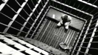 زكارة نكارة 