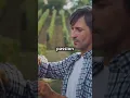 Meet Anthony von Mandl The Man Behind White Claw Mission Hill Winery