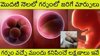 Download 1st Month of Pregnancy in Telugu|Pregnancy 1st month in Telugu | Early Symtoms of pregnancy 2023 MP3