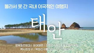 [충남 태안] 겨울 여행 꼭 가봐야 할 곳｜영목항전망대·운여해변·안면도수목원·꽃지해수욕장·청포대·신두리사구까지 완전정복 썸네일