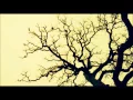 Burial -  Rival Dealer (Video)