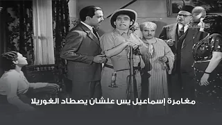 مغامرة إسماعيل يس علشان يصطاد الغوريلا 