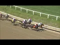 LAUREL PARK 2026-05-15 PL 1